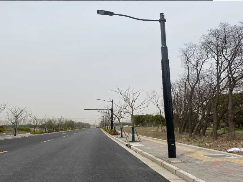 洪湖市上海综合杆 太阳能路灯工程